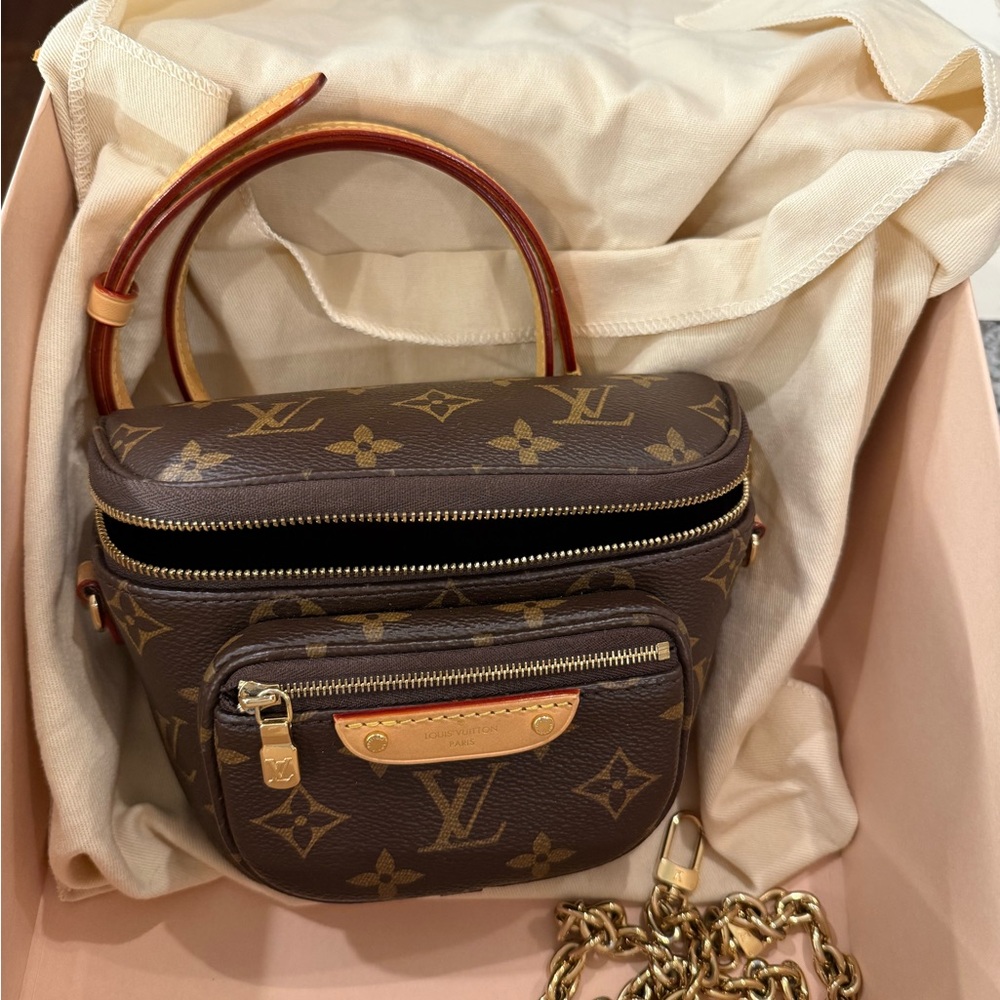 Louis Vuitton Mini Bum Bag